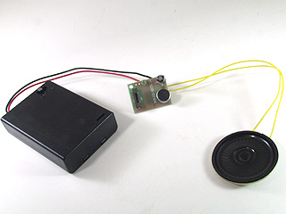 �{�C�X�`�F���W���[